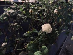-赤宴·川菜(玉林店)