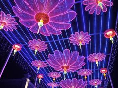 -棋盘山冰雪大世界