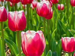 -玄武湖景区-情侣园游乐场