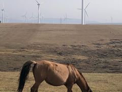 -塞罕坝国家级自然保护区