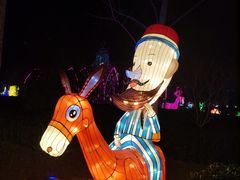 -南宫五洲植物乐园