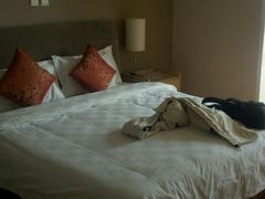 android_dianping_up-泰悦豪庭酒店