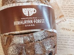 -喜马拉雅森HIMALAYAN FOREST