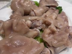 -丁老爷子苏香圆