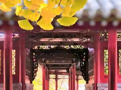 -晋祠公园