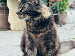 -自由生长植物工作室(深港花卉中心店)