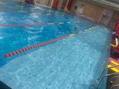-飞鲨游泳培训学校
