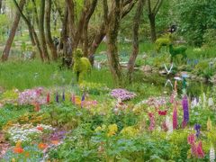 -上海共青森林公园