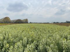 -中国天府农业博览园