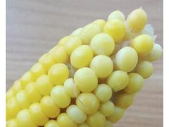 -深圳市人才园(深南大道店)