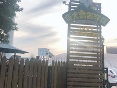 -柴犬高等学院·狗咖·柴犬售卖·宠物训练