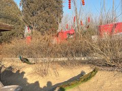 -太原动物园