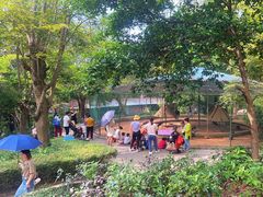 -广东茂名森林公园