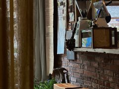 -春庄咖啡SpringHues(钟楼小区店)