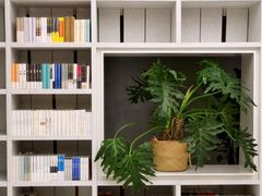 -二酉书店TOYOU BOOKS