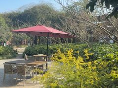 -荷风细雨·中国茶宴(碧云店)