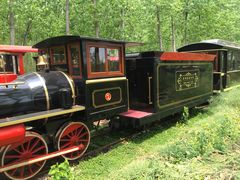 -合肥滨湖国家森林公园