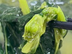 -周师饭店