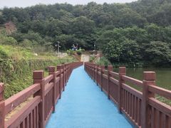 -黄埔油麻山森林公园