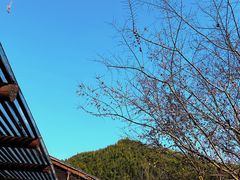 -MOJ coffee(瓯海泽雅水碓坑店)