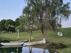 -洋湖国家湿地公园