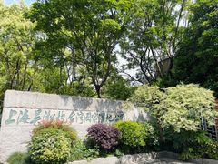 -上海吴淞炮台湾国家湿地公园