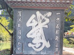 -靖西鹅泉风景区