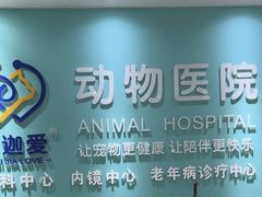 -美迦爱-牙专科·兔科·骨科诊疗中心(北苑店)
