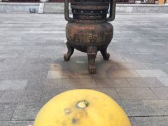-宝岩生态观光园