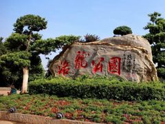 -洛龙公园