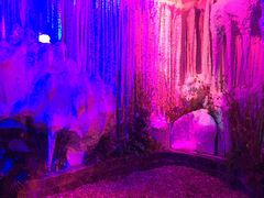 -水晶之星洗浴温泉汗蒸