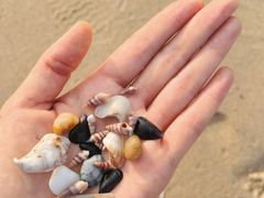 -那香海钻石沙滩浴场