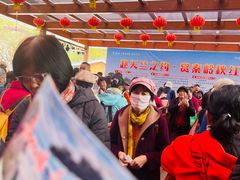 -秦岭天竺山生态文化旅游景区