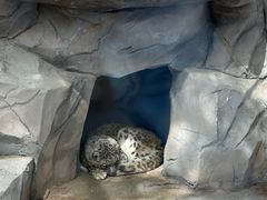 -青藏高原野生动物园