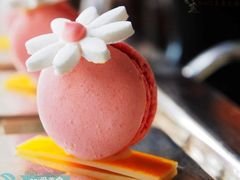 -上海和平饭店-华懋阁 The Cathay Room