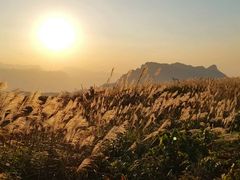 -山王坪喀斯特国家生态公园