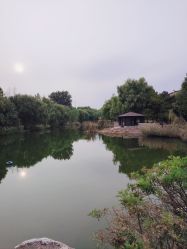 -芙蓉花月子会所(朝阳区店)