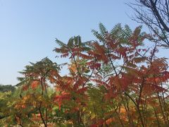 -南翠屏公园
