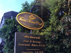 -Fern Forest Cafe
