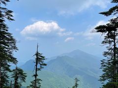 -瓦屋山景区
