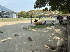 -苏州太湖西山岛开心农场