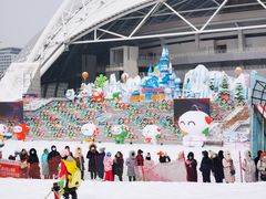 -沈阳奥体冰雪嘉年华