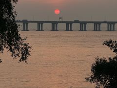 -宝安西湾红树林湿地公园