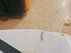 -喜鹊茶点.啫煲(车陂店)