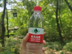 -杭州半山国家森林公园