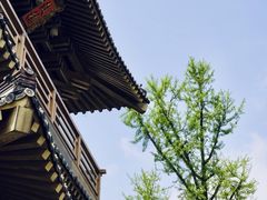 -香积寺
