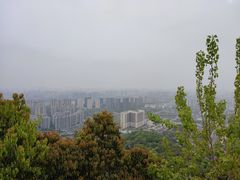 -杭州半山国家森林公园