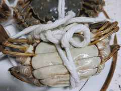 -黄记大闸蟹专卖店·活蟹·醉蟹