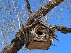 -北京西山国家森林公园