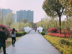 -南翔镇银翔湖公园